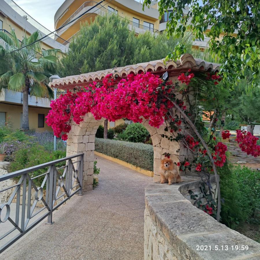 Apartamento Con Piscina A Unos Metros De La Playa Морайра Экстерьер фото